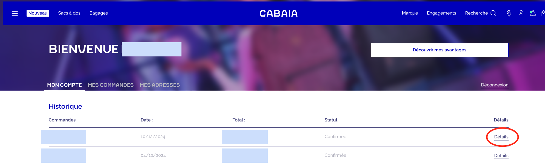 Capture d’écran 2025-01-21 à 16.19.41.png